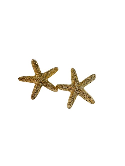 6843 Pendientes Coralina