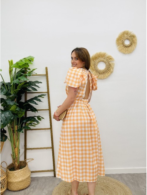 6947 Vestido Clavel