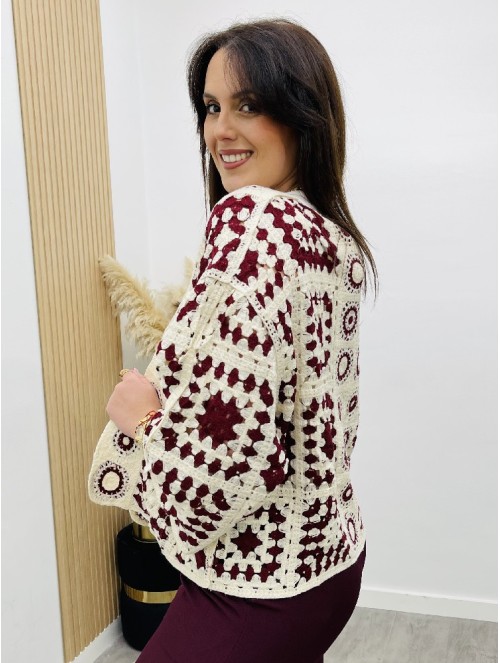 8193 Rebeca crochet colores