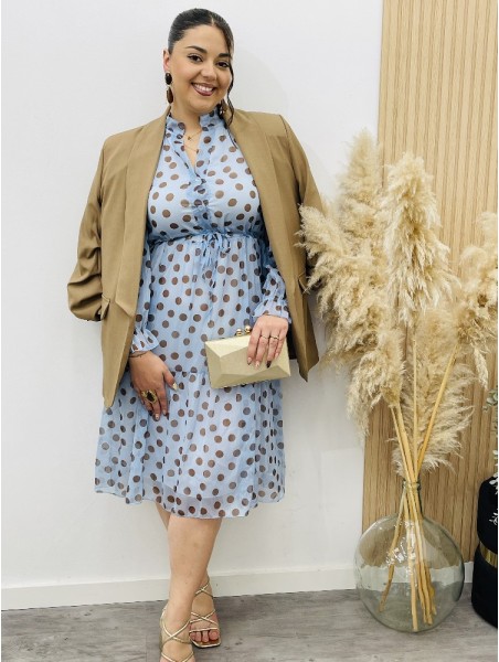 8258 Americana Risso Bronce